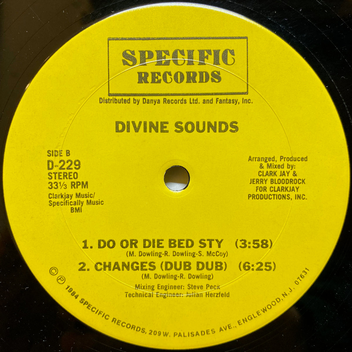 ENGINE DOWN DEMURE レコード 美品 Divine Sounds / Changes (We Go Through) / Do Or Die Bed Stuy