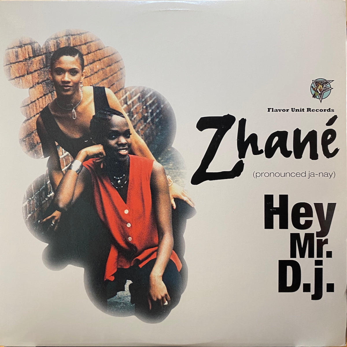 Zhané / Hey Mr. D.j. | VINYL7 RECORDS