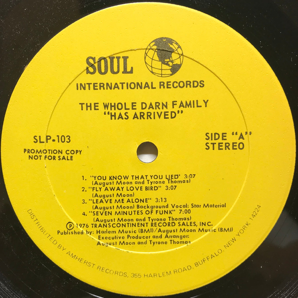 Whole Darn Family, The / Has Arrived | VINYL7 RECORDS