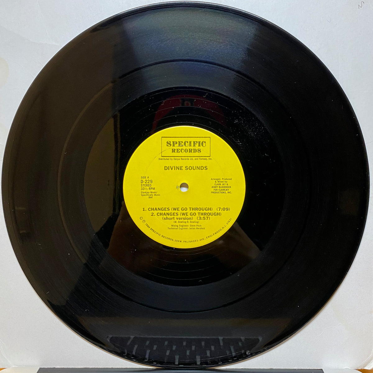 Divine Sounds / Changes (We Go Through) / Do Or Die Bed Stuy