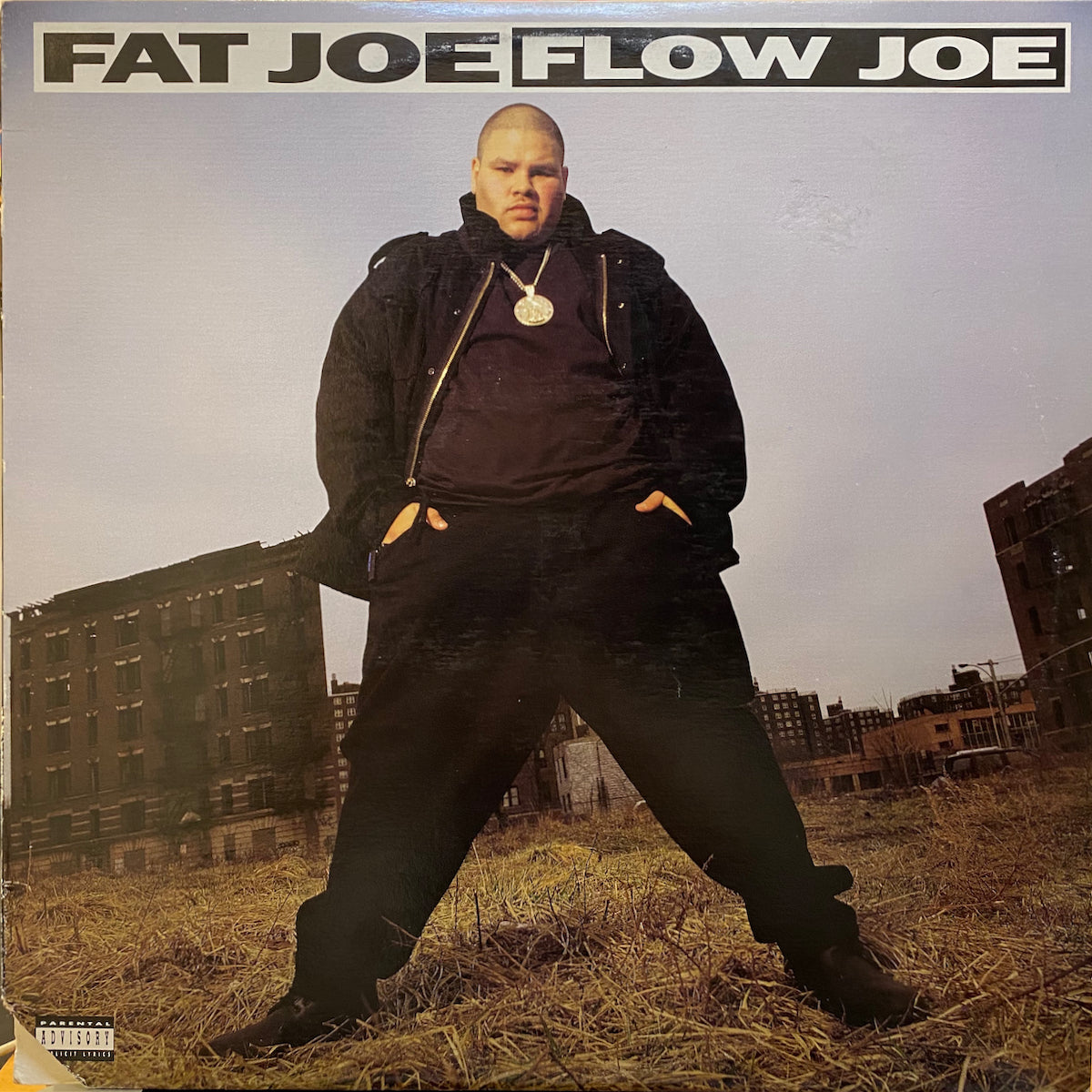 Fat Joe / Flow Joe | VINYL7 RECORDS