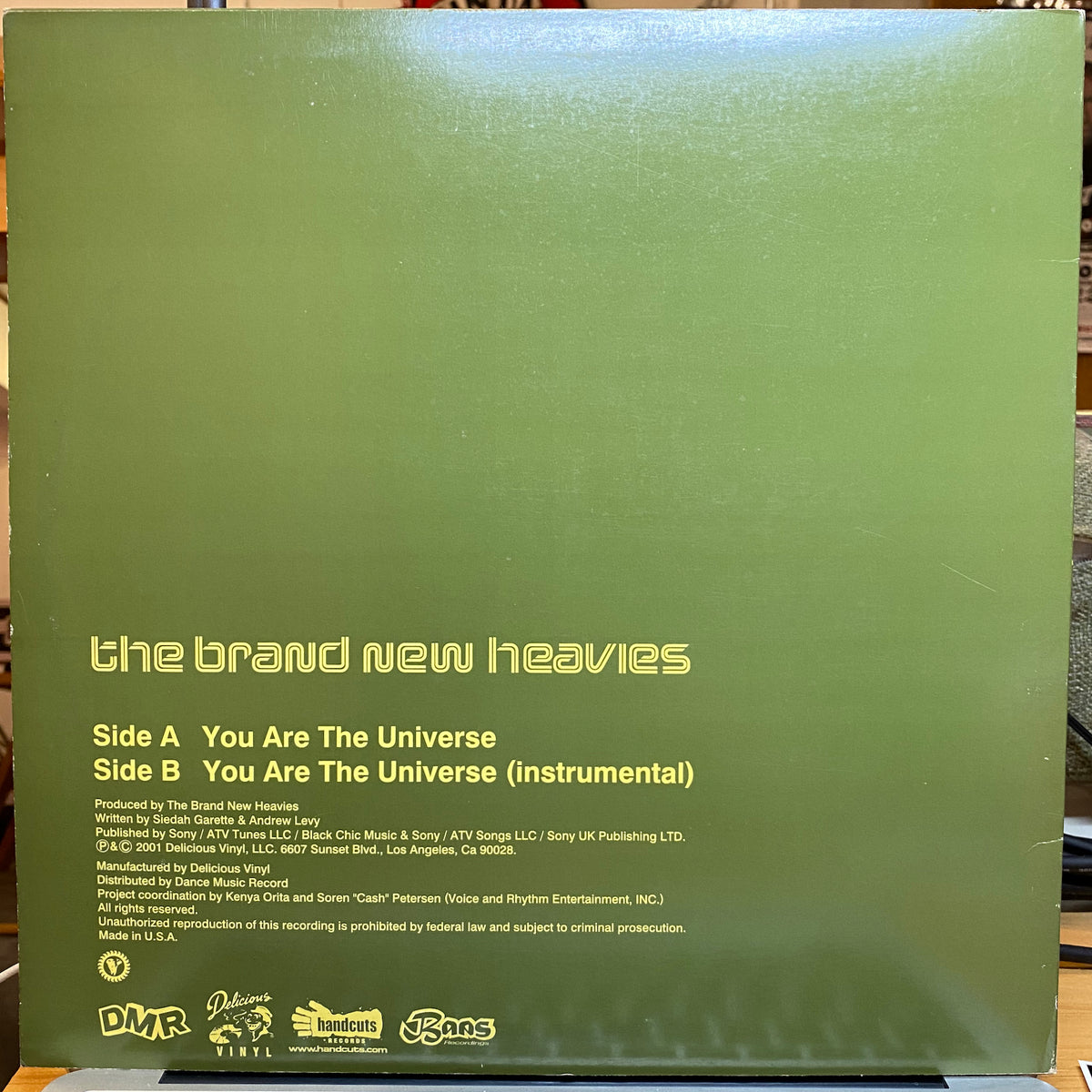 Brand New Heavies, The / You Are The Universe | VINYL7 RECORDS